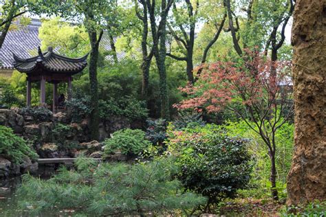 Il Tempio di Tianyi: Un gioiello nascosto tra le montagne e un rifugio spirituale per la pace interiore!