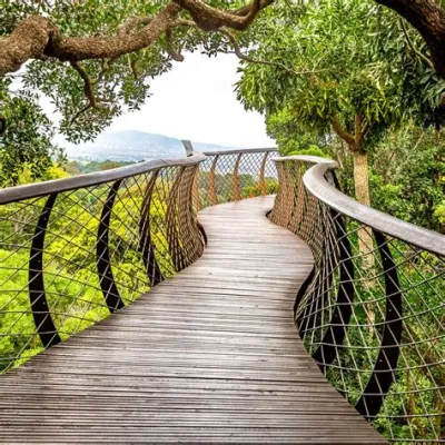 Il Giardino Nazionale di Kirstenbosch: Un Oasis Verde Incantevole e Inaspettato in Sudafrica!