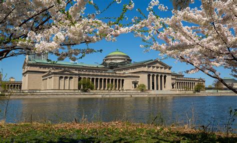 Il Museum of Science and Industry di Chicago: Un Viaggio Indimenticabile Attraverso la Scienza e l'Innovazione!