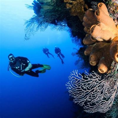   Le Grotte di Jiudian: Un tuffo nella preistoria e un banchetto per gli occhi!